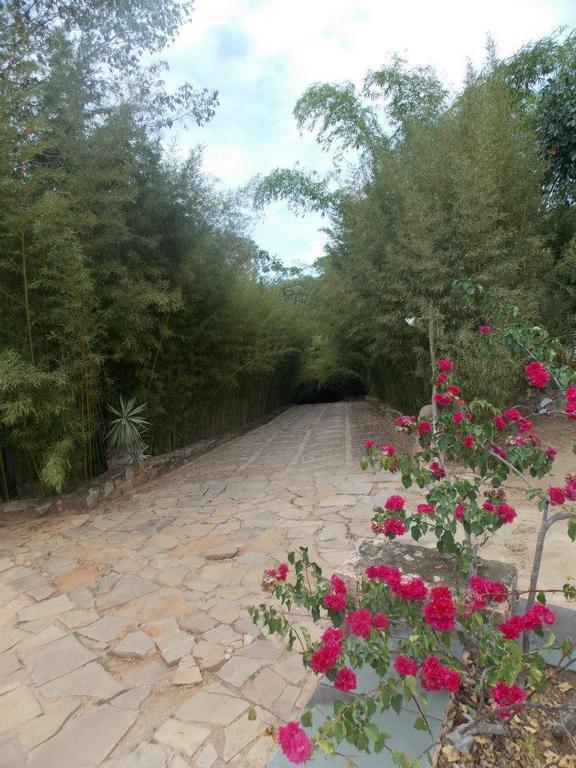 Pousada Bosque Do Lapao 伦索伊斯 外观 照片
