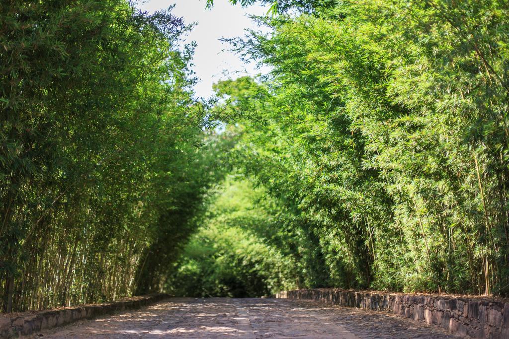 Pousada Bosque Do Lapao 伦索伊斯 外观 照片